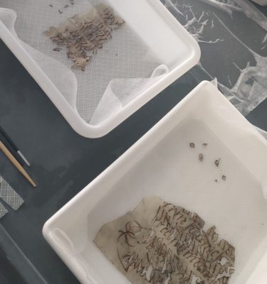 Screenshot_2024-02-23-10-07-02-59_965bbf4d18d205f782c6b8409c5773a4~2